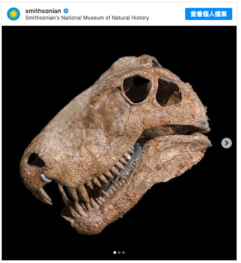 史密森尼國家自然歷史博物館Smithsonian National Museum of Natural History。