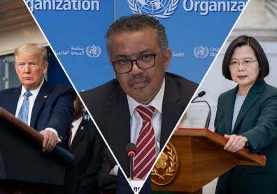 譚德塞飆罵台灣，背後藏鏡人的盤算？