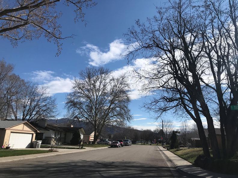 (圖片提供:王怡棻)