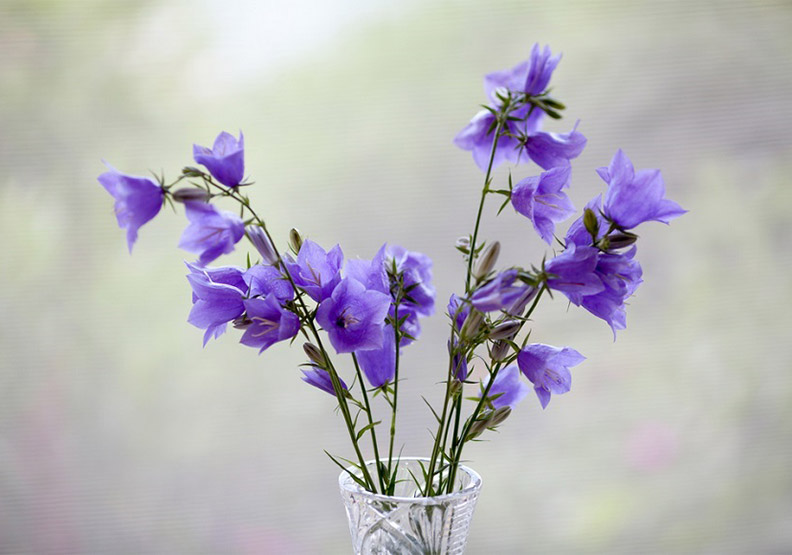 取自shutterstock