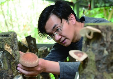 森林微光 點亮里山資本