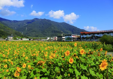 美味米產品 把人潮帶進來