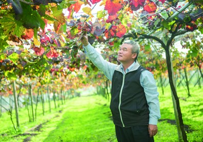 台灣葡萄酒 勇闖巴黎奪冠軍