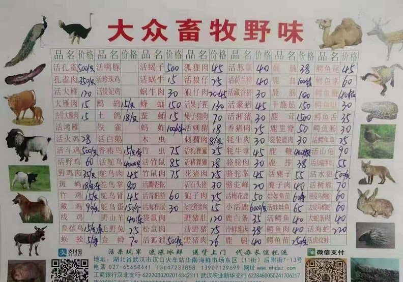 中國令人髮指的野味市場