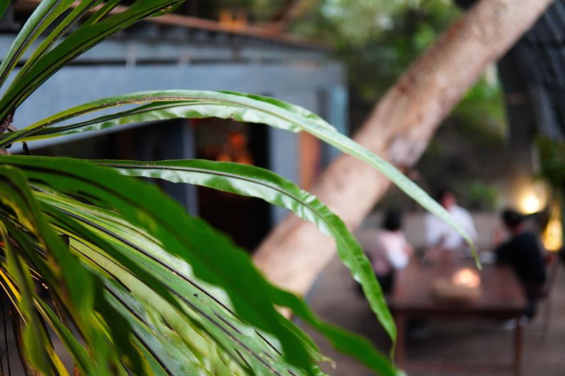 歷經高度開發的過程後,台灣新世代提出的建築主張,反映出人們對於自然和空白的渴望。