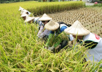 2020遠見第16屆CSR獎項：遠東集團大贏家、信義房屋連三年獲首獎