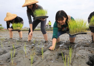 2020 CSR大調查：參賽企業總平均73分、公司治理僅66.1分
