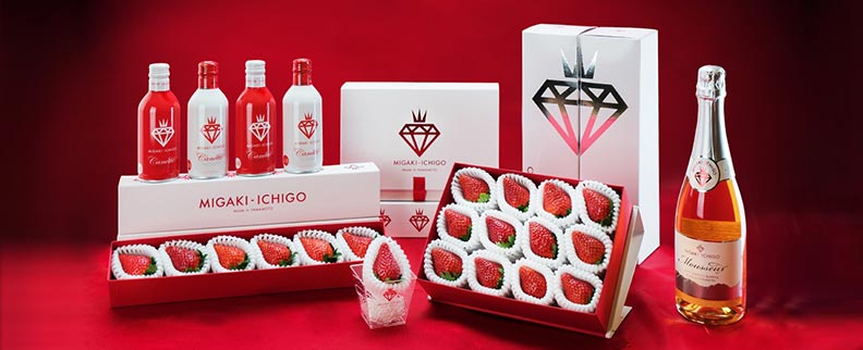 MIGAKI-ICHIGO