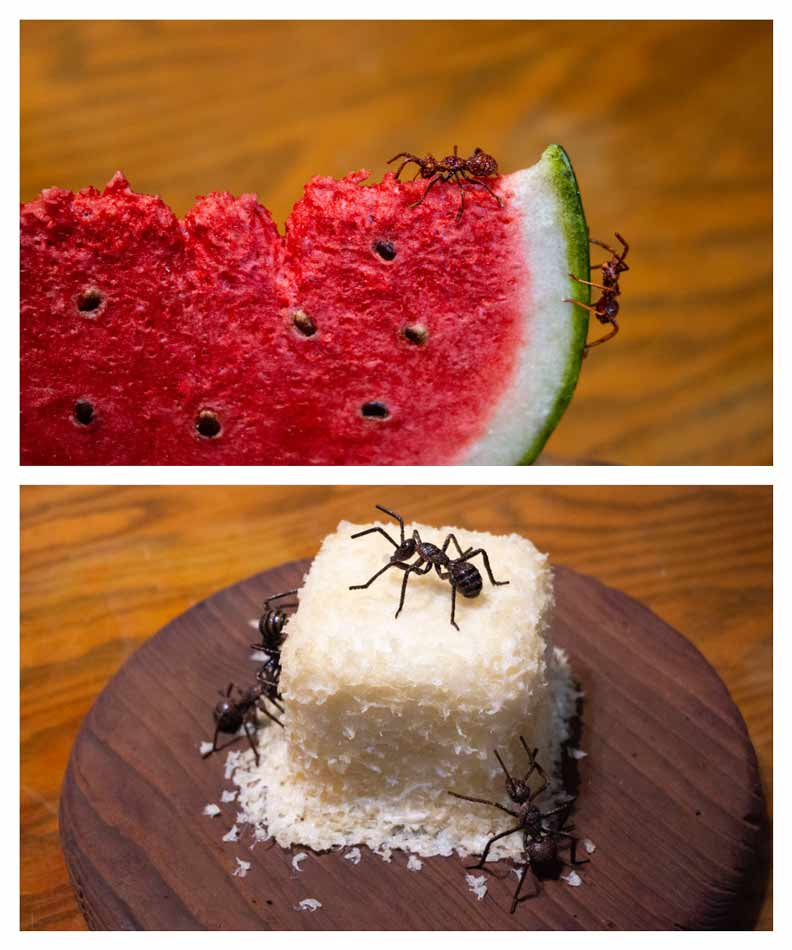 螞蟻系列是葉發原的得意作品。