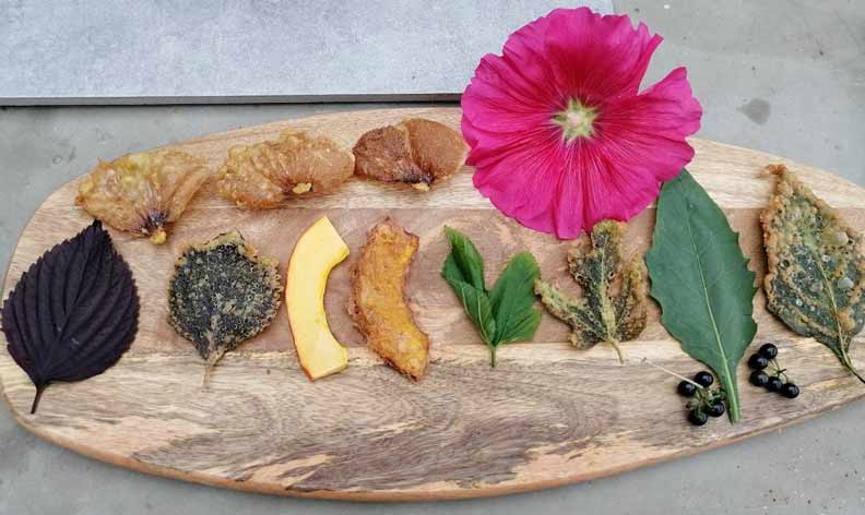 野菜天婦羅(紫蘇、南瓜、飛機草、龍葵、蜀葵花)、咸豐草烘蛋……滋味獨特,置身鄉間的療癒,很想傳遞給更多人知道。(貝殼放大、陳清枝提供)