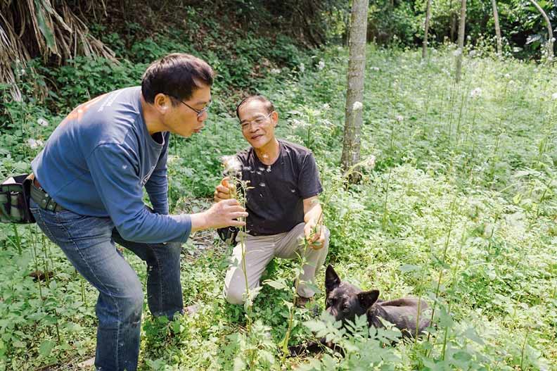 ↑陳木城(左)、陳清枝(右)和狗夥伴麻糬,在野菜學校園區裡,就像昭和草種子一樣準備起飛。