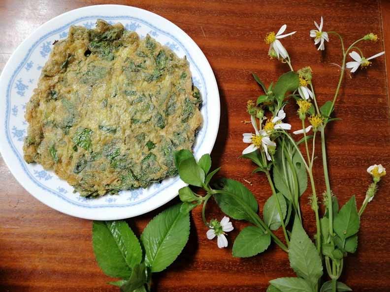 野菜天婦羅(紫蘇、南瓜、飛機草、龍葵、蜀葵花)、咸豐草烘蛋……滋味獨特,置身鄉間的療癒,很想傳遞給更多人知道。(貝殼放大、陳清枝提供)