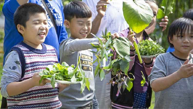 野菜天婦羅(紫蘇、南瓜、飛機草、龍葵、蜀葵花)、咸豐草烘蛋……滋味獨特,置身鄉間的療癒,很想傳遞給更多人知道。(貝殼放大、陳清枝提供)