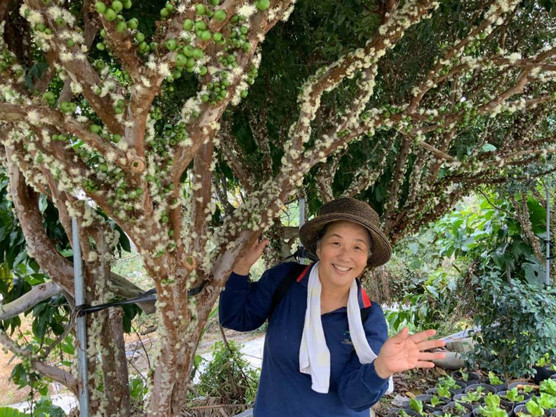 勤快運動就有可能讓大腦「縮水」的速度變慢;柯俊銘提供。