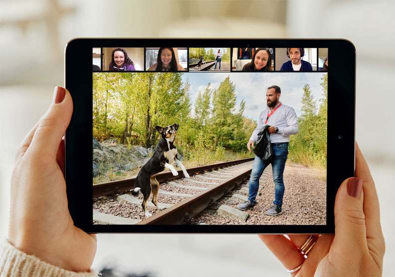 Airbnb4月初推出線上達人體驗，圖為線上看車諾比的狗狗。取自Airbnb官網