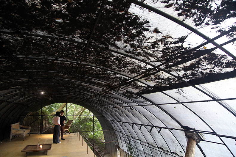 曾志偉的作品。