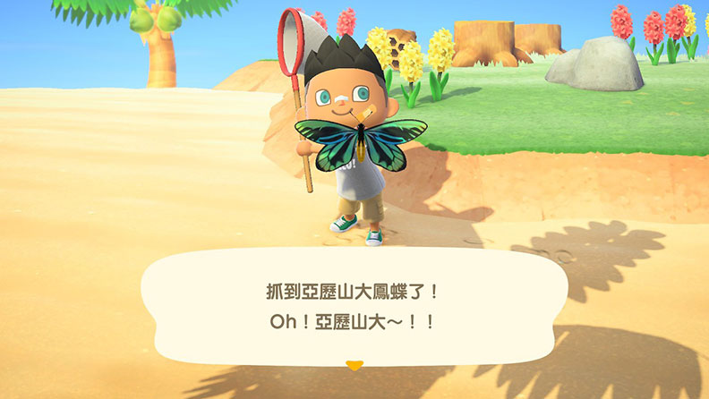 遊戲中的捕蟲功能;網友提供。