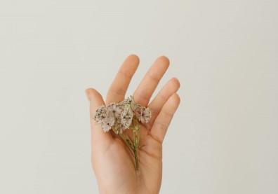 「我仍會因命運太過殘酷而憤懣難消」法醫帶你看死又看生