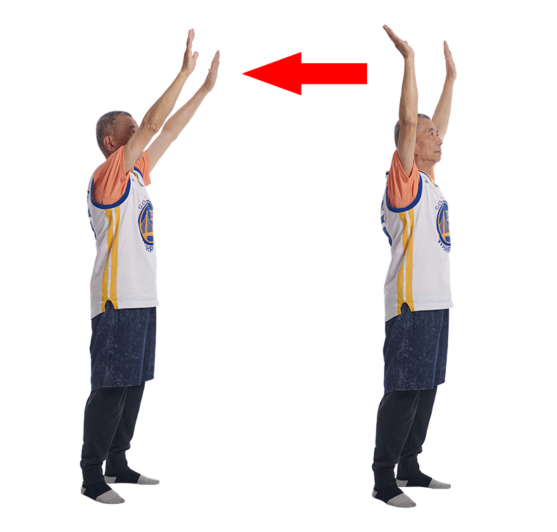 雙手抬高向後延伸可訓練到頸背的肌肉群。