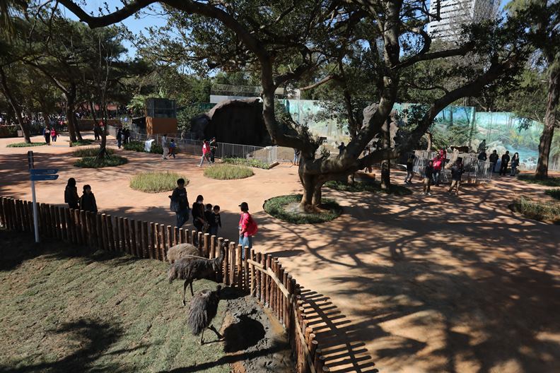 重新開幕、主打「共融」概念的新竹市立動物園,現在儼然是風城最夯的人氣景點。