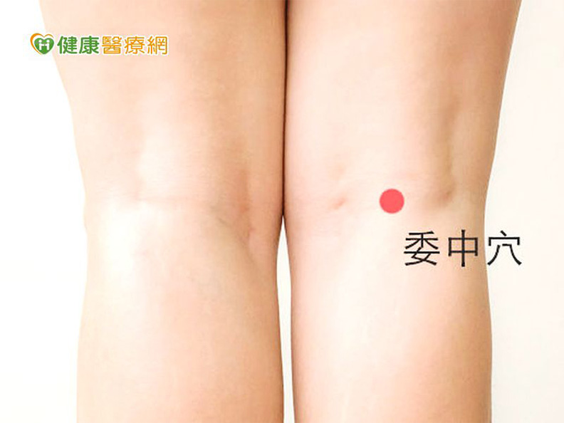 委中穴位於膝後膕窩橫紋中央。