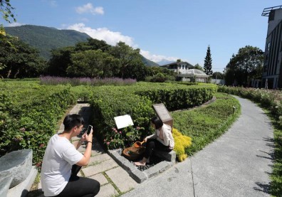 花蓮秧悅千禧酒店 沉浸香草七感療癒