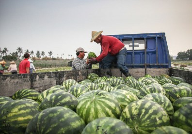 西瓜消暑又解渴，但這 3 種人千萬別吃過量！