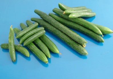 夏日鮮蔬小黃瓜低熱量又能養顏！這一招辨別鮮嫩良品