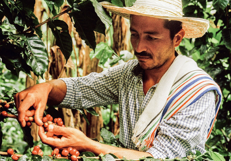 從產地到回歸自然,都盡可能物盡其用