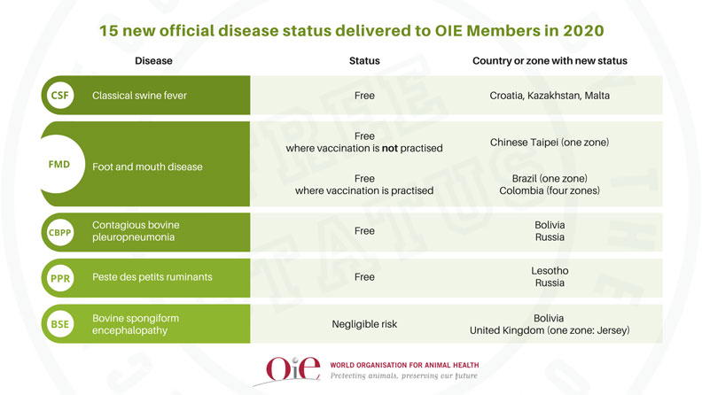 世界動物衛生組織(OIE)正式將台灣改列為「不打疫苗的非疫區」。取自OIE官網