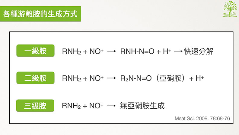 各種游離胺的生成方式。