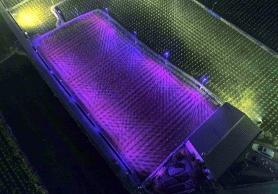 暨大USR以科技改變茭白筍產業，為埔里友善土地、創生希望