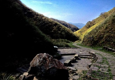 國旅補助預備！避開人潮的全台4大絕美「健行古道」報你知