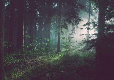 人生的「難」與「易」是相對的，也是互相成就的！