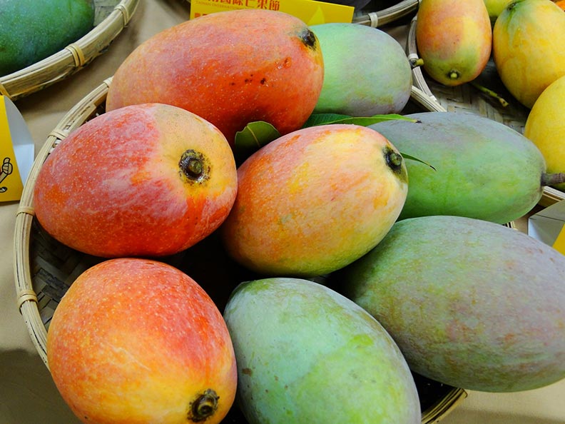 台灣有這種不同的芒果。