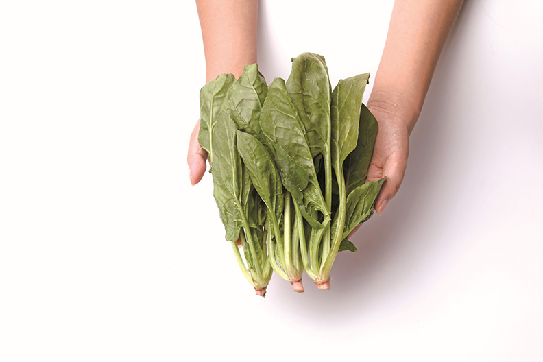 雙手捧菠菜(約3棵)≒100公克。