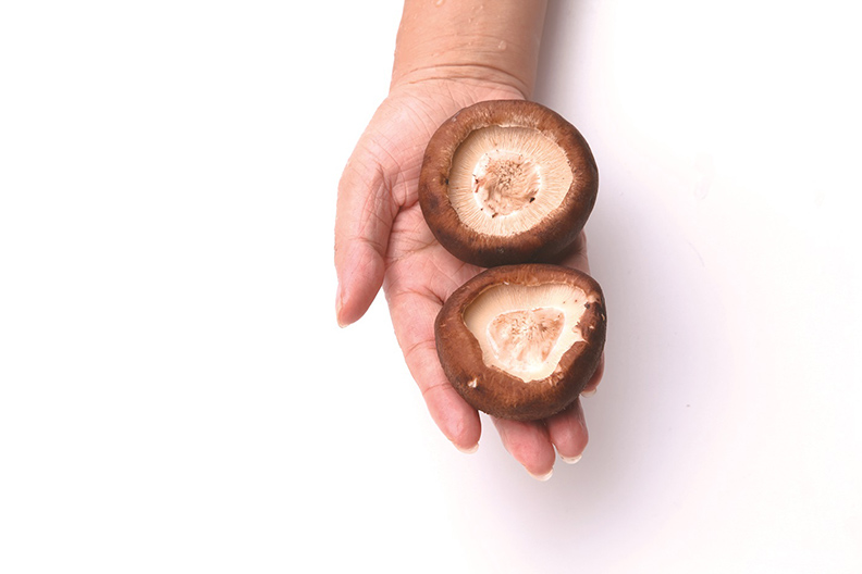 手掌放兩朵鮮香菇≒50公克。