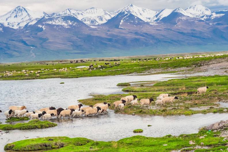 新疆天山巴音布魯克草原;王宏任提供。