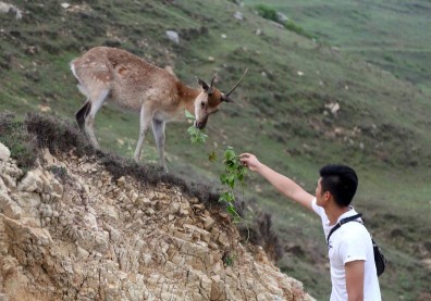 「國之北疆」馬祖 慢遊療癒系祕境