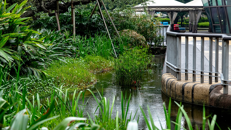 不找地球麻煩,企業才能百年永續。