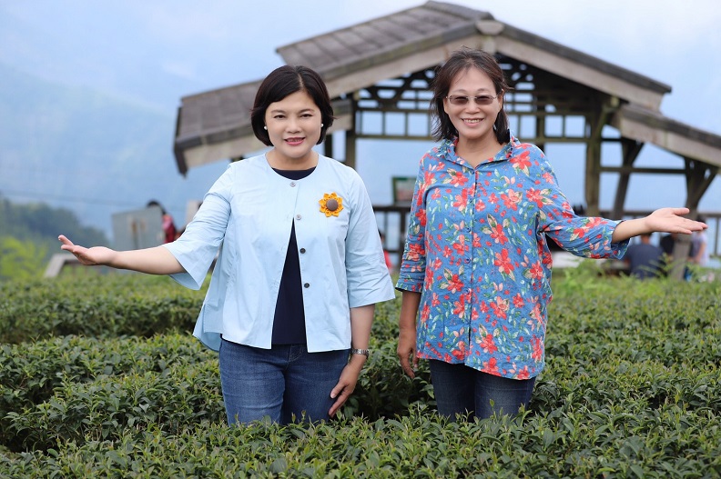 雲林縣擁有許多自然系的森林步道，歡迎全國民眾共同來參與。