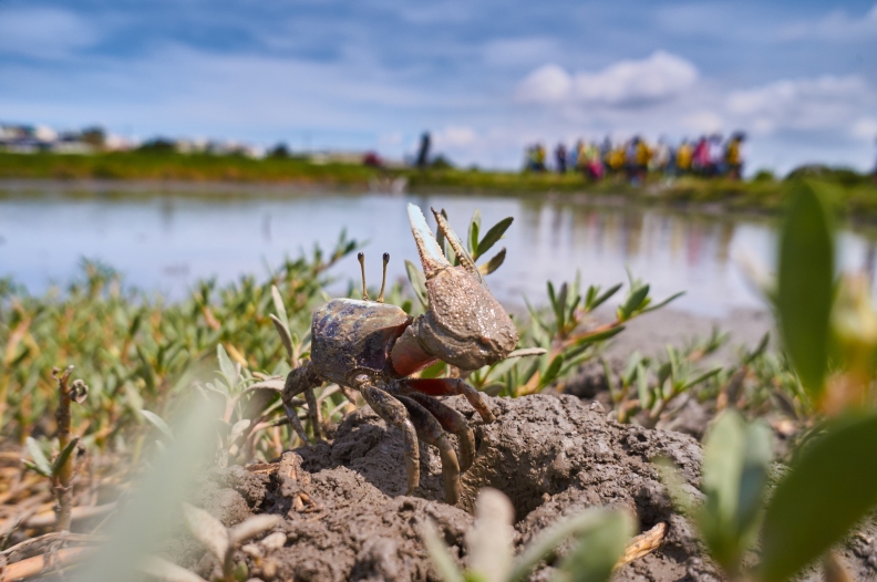 近年環保意識抬頭當大學與在地的力量整合,終於日起有功,如今開展生態旅遊。