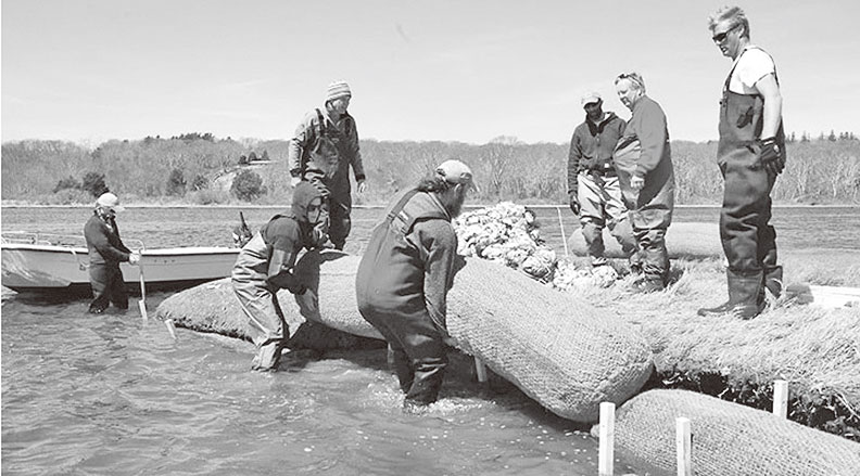 羅德島利用回收的牡蠣殼做成人工珊瑚礁岩。圖片來源:www.nature.org