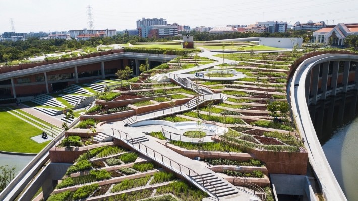 綠色屋頂的農場,種植有機的耐旱水稻、蔬菜等作物。圖片來源:LANDPROCESS粉絲專頁