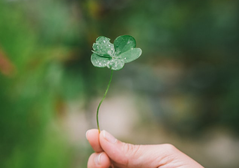 僅為情境配圖。取自unsplash