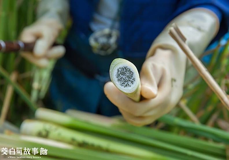 茭白筍有黑點是好還是壞？黑點可以預防骨質疏鬆嗎？