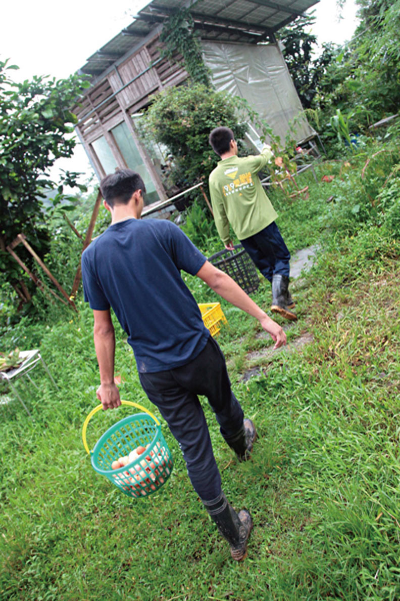 生活中讓孩子多勞動,透過勞動,孩子才開始真正認識周圍的世界。關立衡攝