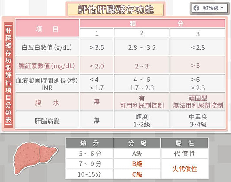 評估肝臟殘存功能。