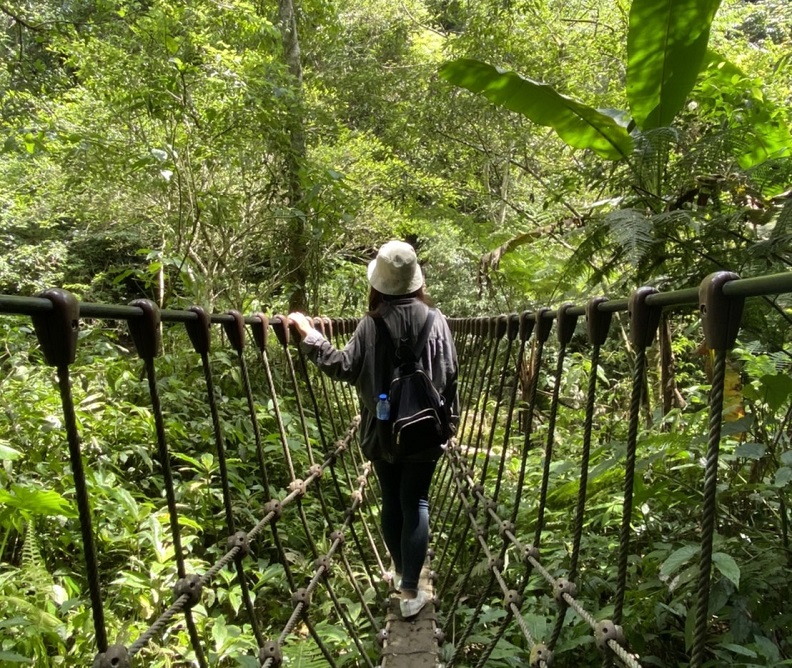 馬胎古道沿途自然生態豐富,綠樹蒼鬱 。
