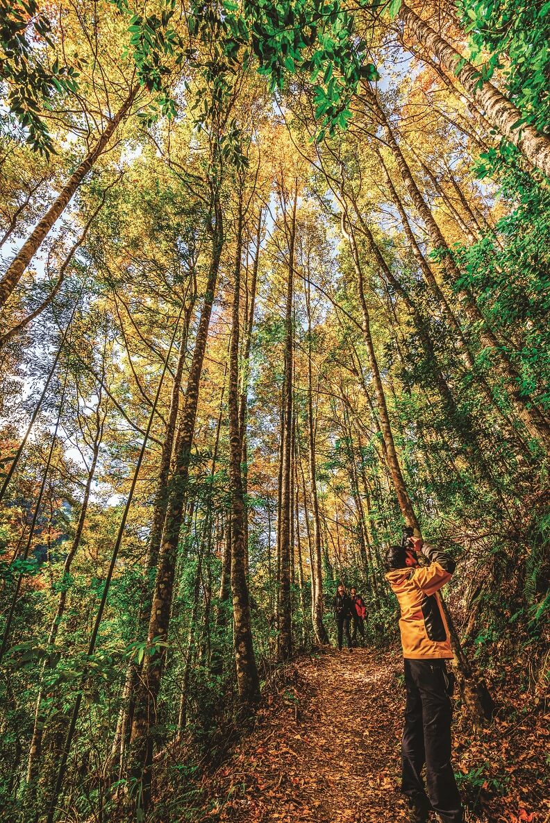 霞喀羅國家步道 沿途景觀秀麗,吊橋、山澗林相美不勝收。